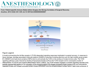 Slide () - Anesthesiology - American Society of Anesthesiologists