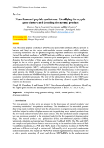 Review Non-ribosomal peptide synthetases: Identifying the cryptic