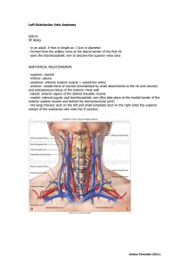 Left Subclavian Vein Anatomy