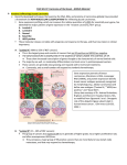 Path SDL 37: Carcinoma of the Breast – BONUS Material: Invasive