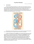 Frog Heart Physiology