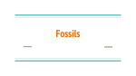 Fossils