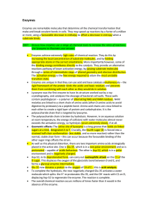 enzymes 194 kb enzymes