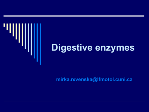 Digestive enzymes