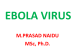 EBOLA VIRUS