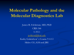 Disease Burden BCR/ABL FISH, Peripheral Blood, %