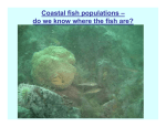 Coastal fish populations - Centre for Marine Biodiversity