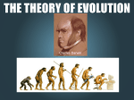 THE THEORY OF EVOLUTION