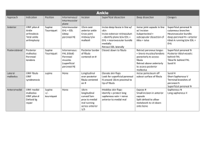 Approaches to the ankle