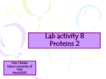 Lab activity 8 Proteins 2 Alaa S Baraka Islamic university of Gaza
