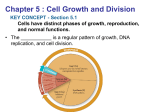 5.1 The Cell Cycle - Biology
