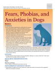 fears_phobias_and_anxieties_in_dogs