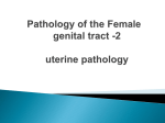 Pathology of the Female genital tract -2