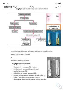 Staphylococcal toxic shock syndrome