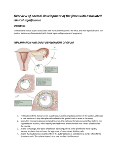 developmental events of the first trimester