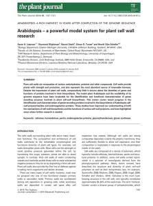 Arabidopsis – a powerful model system for plant cell wall research