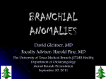 branchial anomalies