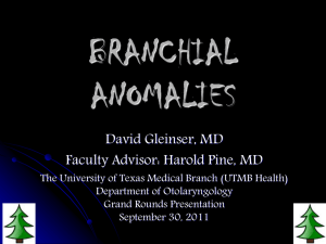 branchial anomalies