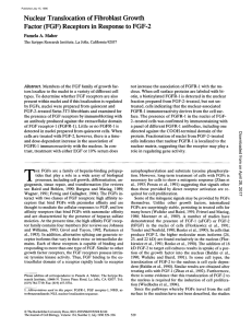 Nuclear Translocation of Fibroblast Growth Factor (FGF) Receptors