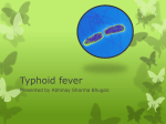 Typhoid fever