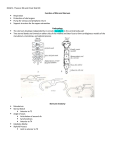 OMM 2- Thoracic Rib and Chest Wall SD Function of Ribs and Sternum