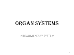 Integumentary system