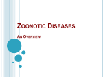 Zoonotic Infection