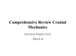 Comprehensive Review Cranial Mechanics