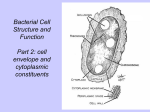 Structure and Function of Bacterial Cells Part 2