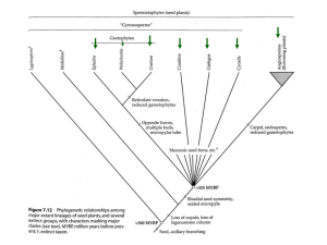 Evolution of the Seed