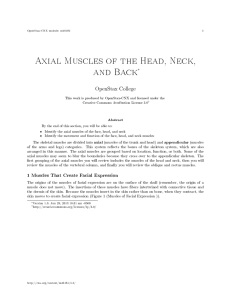 Axial Muscles of the Head, Neck, and Back