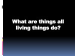 7 Things all living things do.