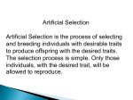 Artificial Selection Artificial Selection is the process of selecting and