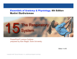 The Respiratory System - Marlington Local Schools