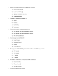 Which of the following places on the diaphragm are weak? a