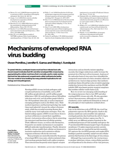 Mechanisms of enveloped RNA virus budding