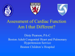 Assessment of Cardiac Function * Am I that Different?