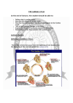 THE CARDIAC CYCLE