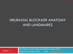 Neuraxial Blockade Anatomy and Landmarks