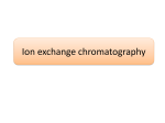 Ion exchange chromatography File