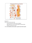 [Chapter 14] ANS consists of motor neurons that Innervate smooth