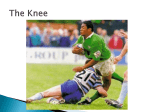 Injury to the Knee