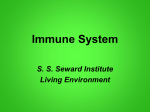 Immune System