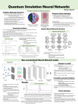 Quantum Simulation Neural Networks - b