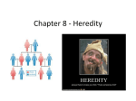 Chapter 8 - Heredity