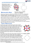 Different types of ligands form different bond stabilities with transition
