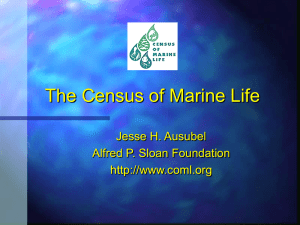 Census of Marine Life