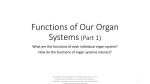 Functions of Our Organ Systems