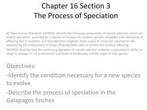 16.3 Speciation