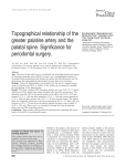Topographical relationship of the greater palatine artery and the